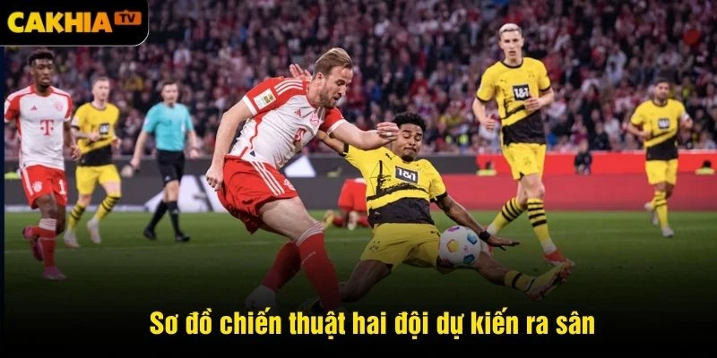 Sơ đồ chiến thuật hai đội dự kiến ra sân