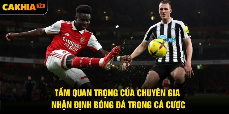 Tầm quan trọng của chuyên gia nhận định bóng đá trong cá cược